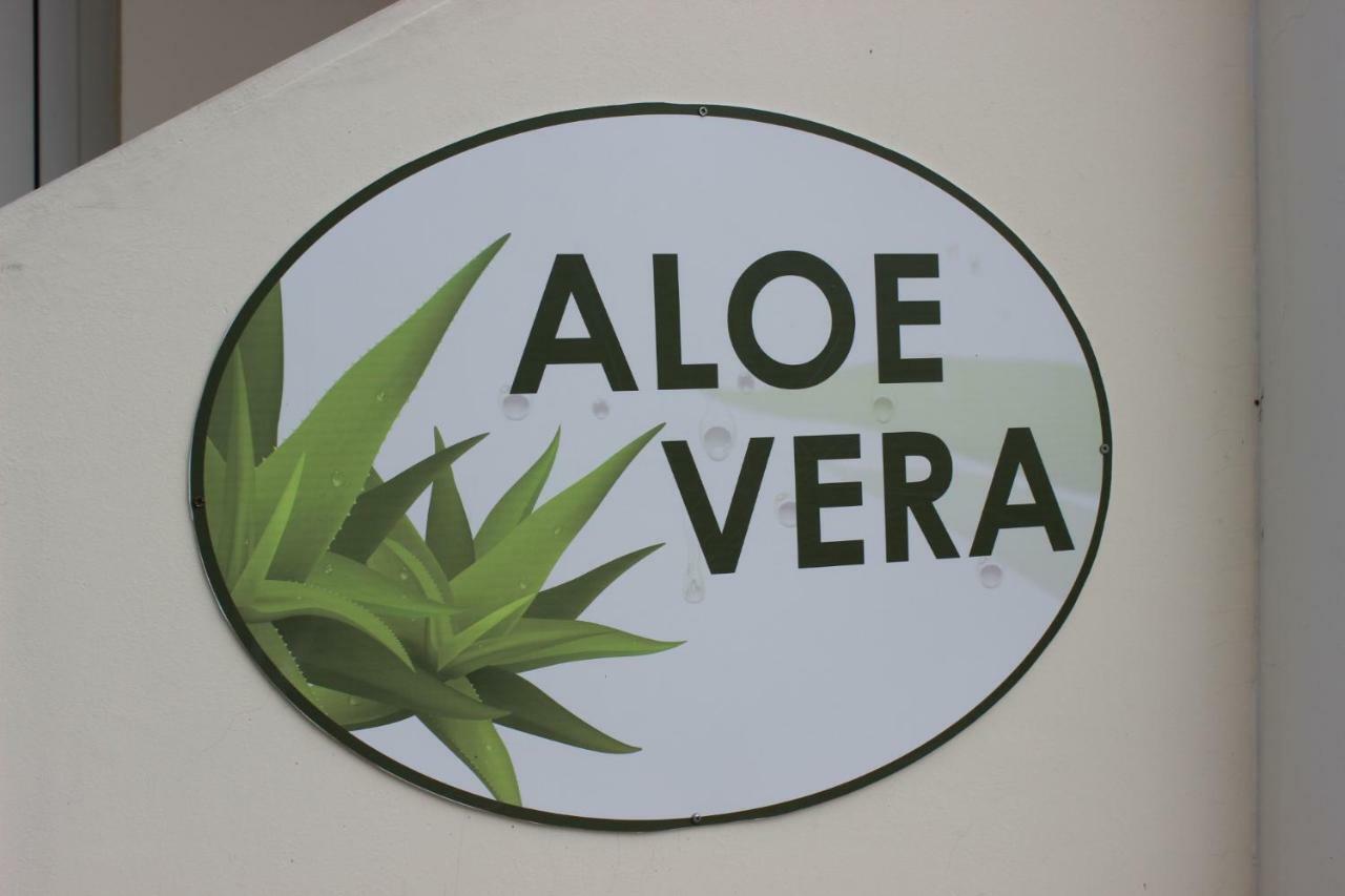 Aloe Vera Holiday Apartament Pafos